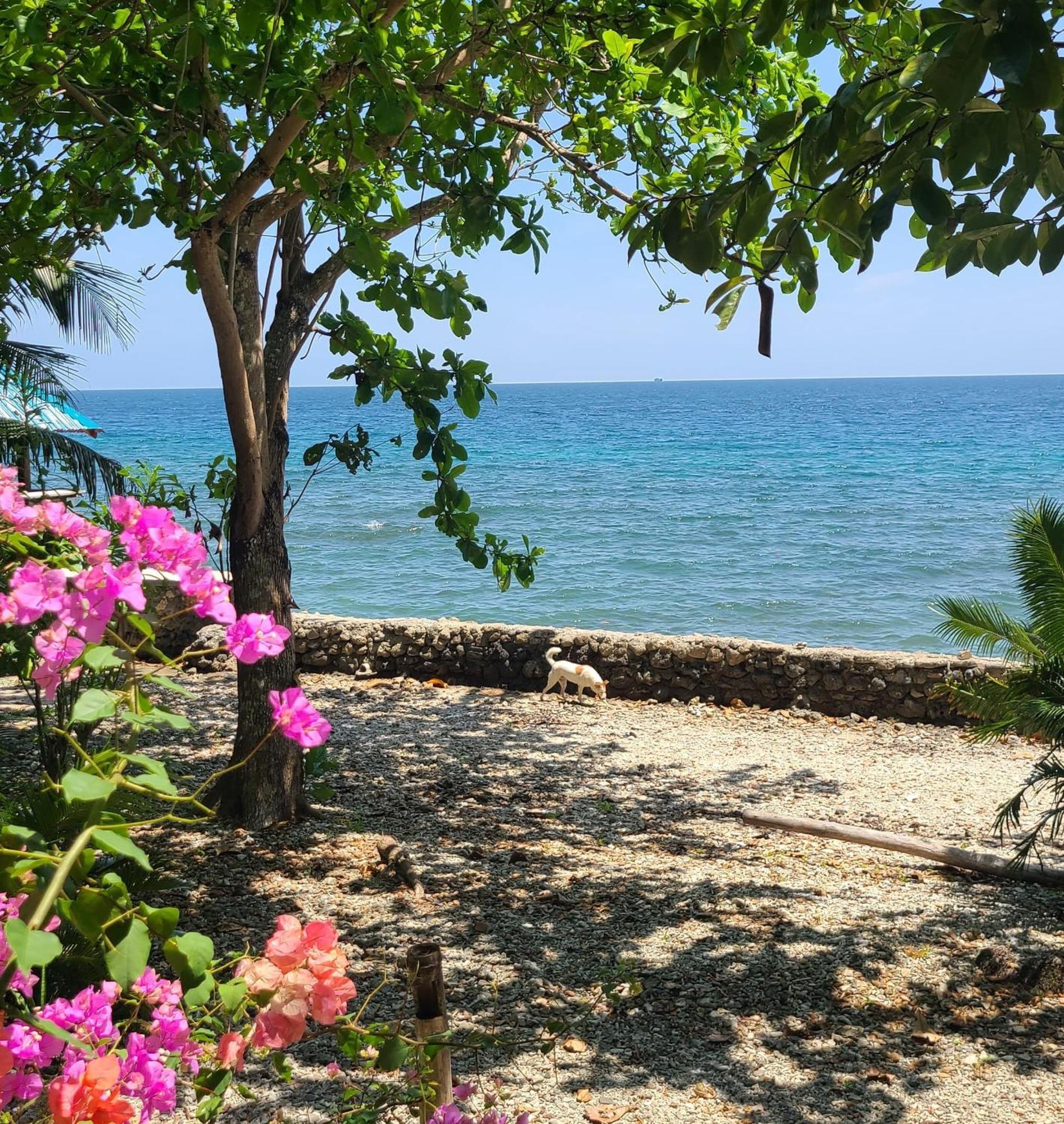 Paseo Del Mar Seaside Inn Jagna Ngoại thất bức ảnh